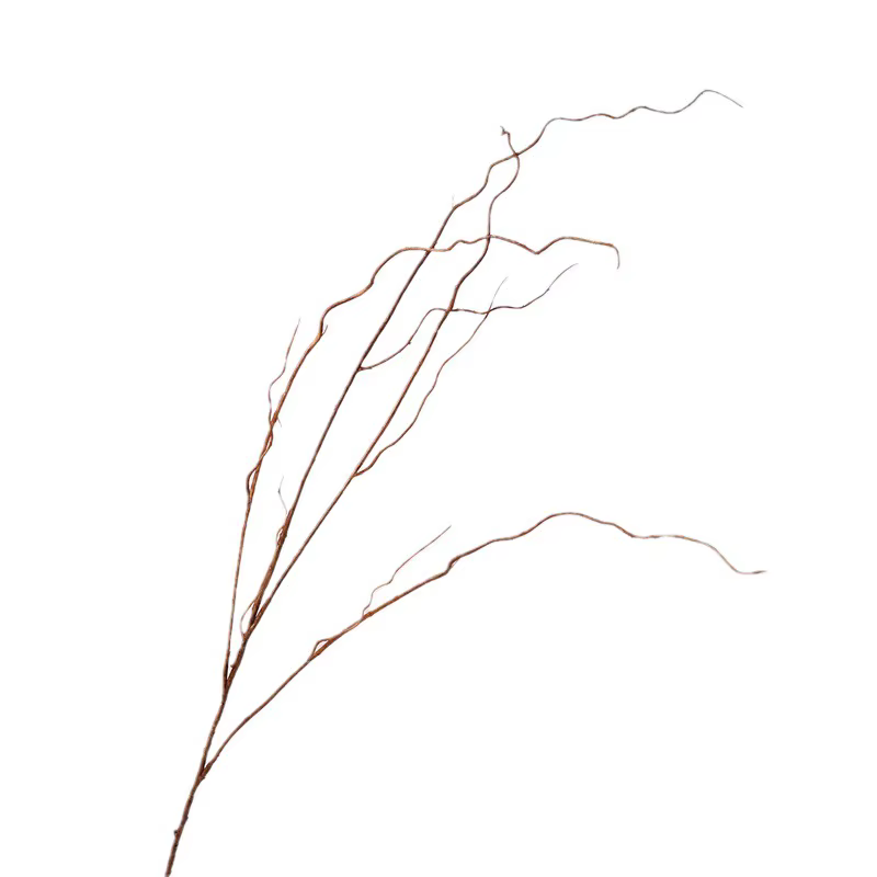 Simulation de Branches vaccées