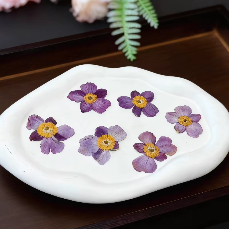 Fleur de coton sauvage séchée 4-5cm/12 pièces