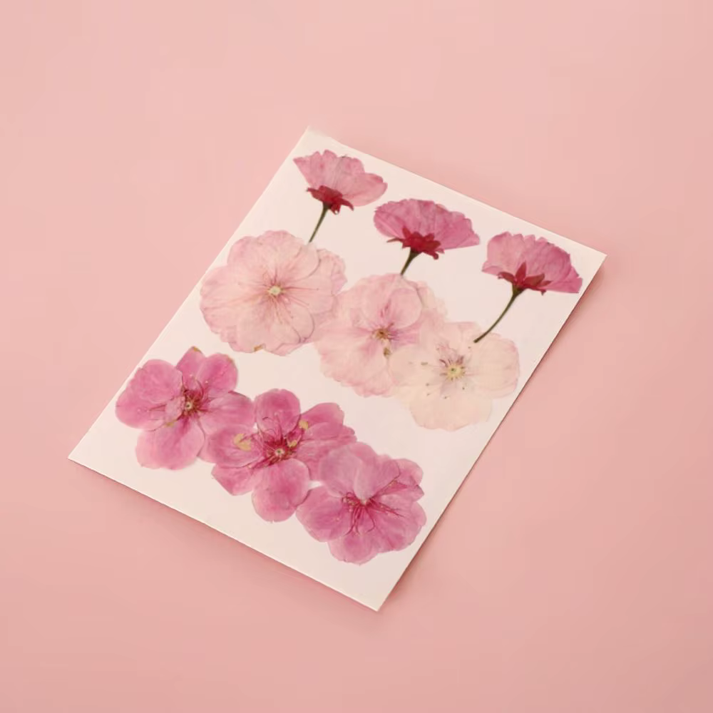 Bricolage matériaux bricolage fleurs séchées signets pressé fleur PET fleurs séchées autocollants à la main Transparent fleur Page signet enfants