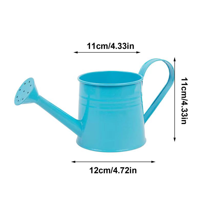 Petit arrosoir pour plantes d'intérieur