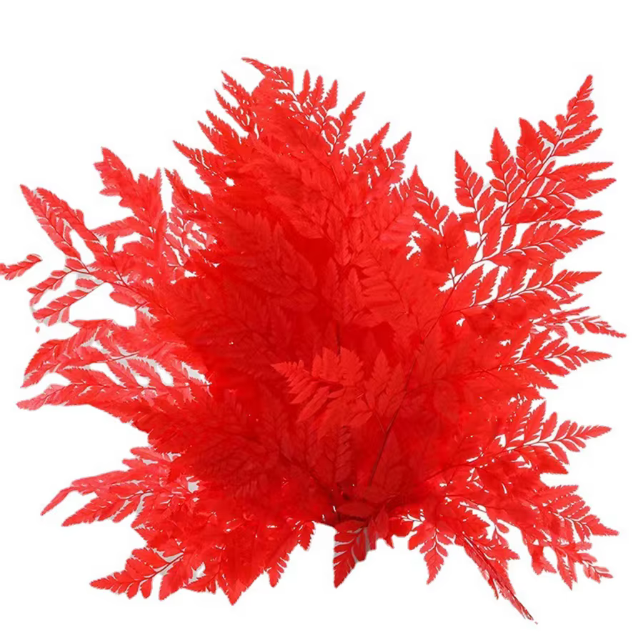 10 pièces de feuilles de fougère alpine éternelle