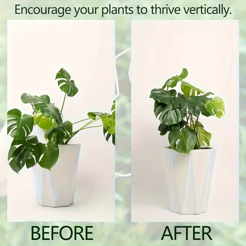 Grand support pour plantes suspendues