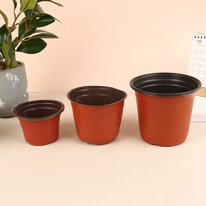 Pot de fleurs en plastique pour culture de plantes succulentes