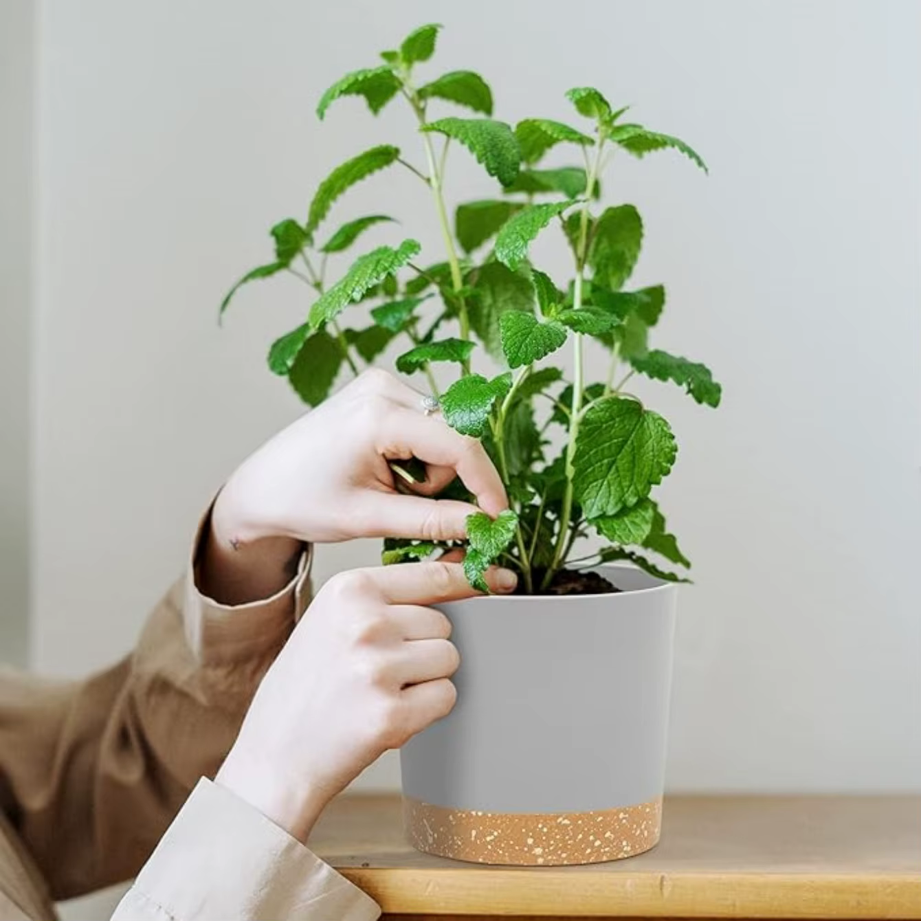 Paquet de 2, jardinières pour plantes d'intérieur avec trous de drainage et base amovible