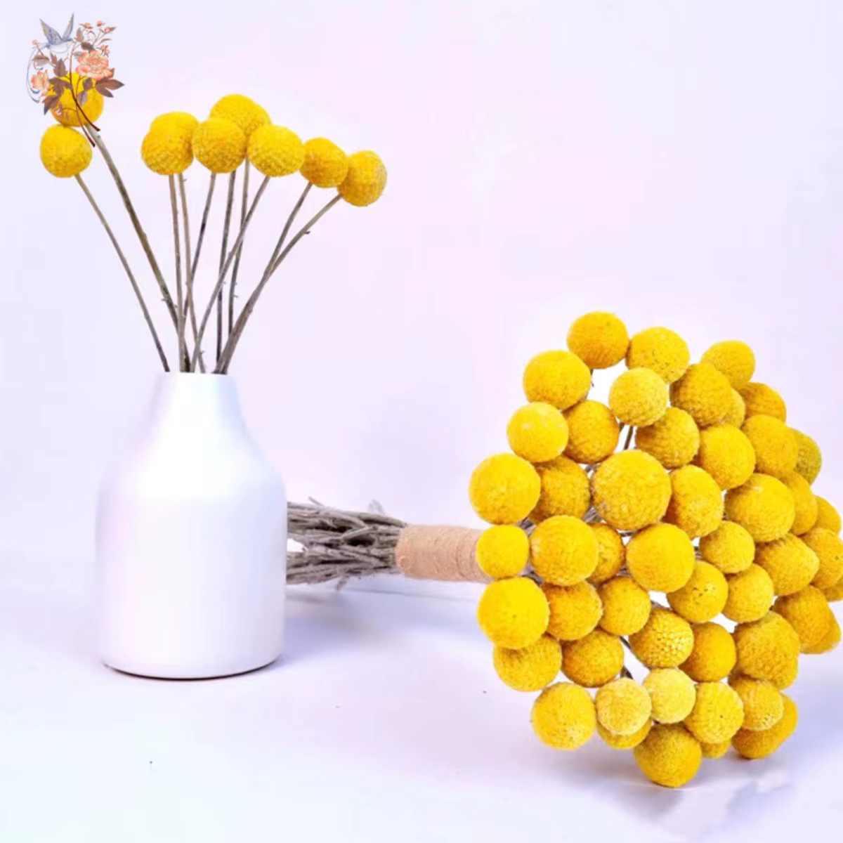 Boules dorées jaunes séchées naturelles