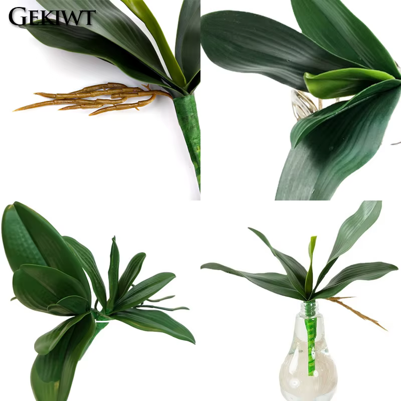 Plantes artificielles : Feuilles de Phalaenopsis