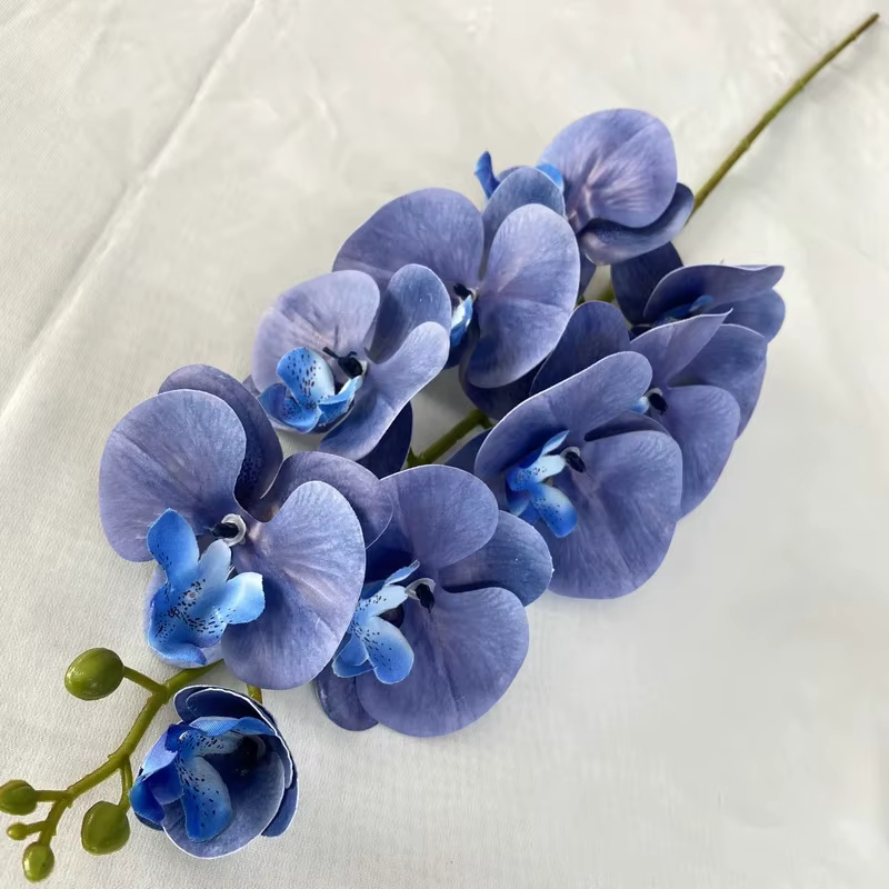 Orchidée française papillon artificielle pour la décoration de la maison