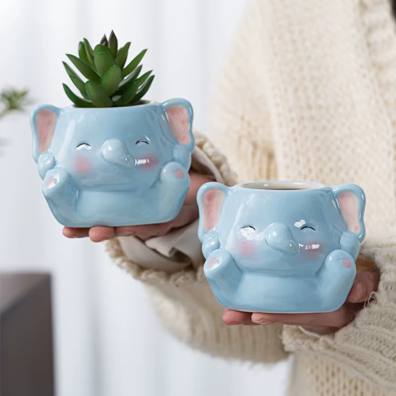 Jardinière succulente en céramique multifonction