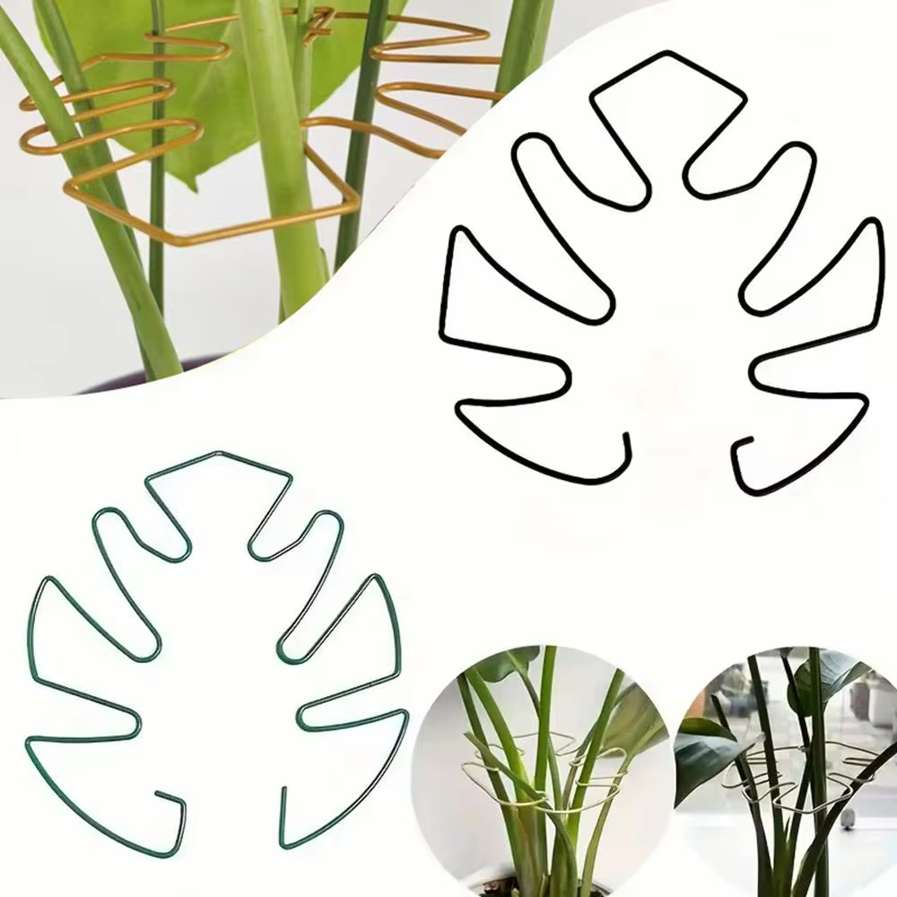 Clips de Support de tige de plante