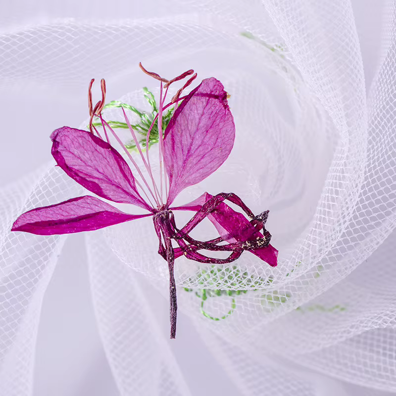 Lot de 12 fleurs de Gaura séchées pour DIY