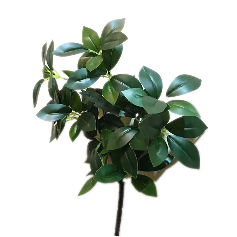 5 pièces artificielle Peperomia Sterm Tetraphylla branche d'arbre plante verte subtropicale
