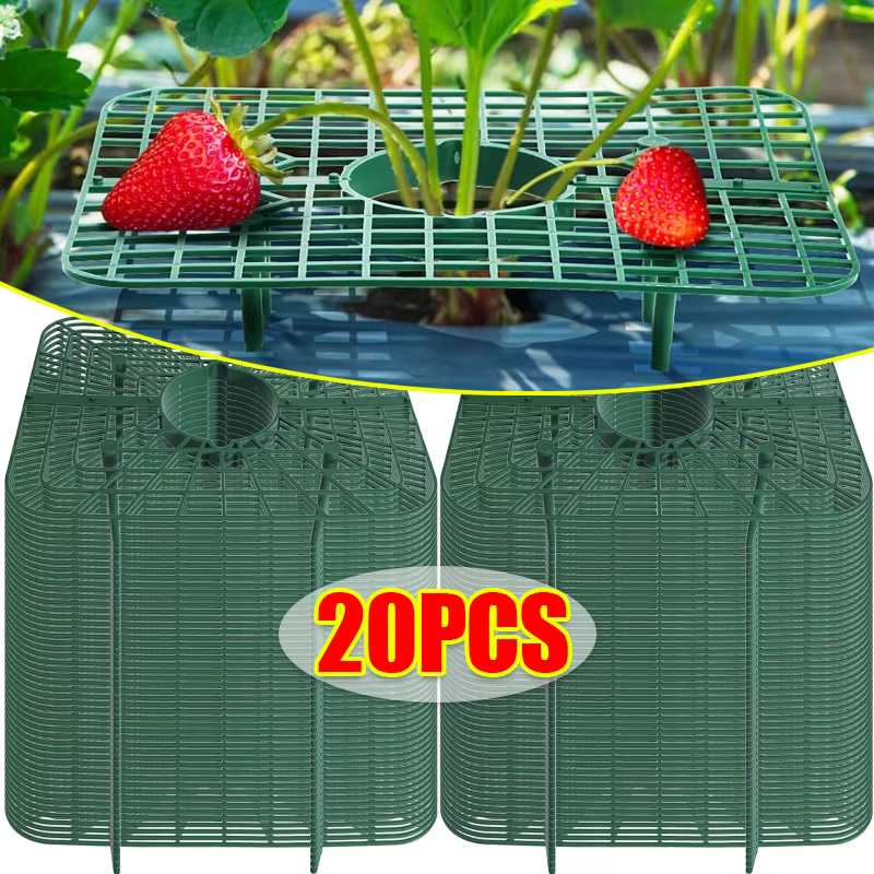 Supports pour plantes à fraises