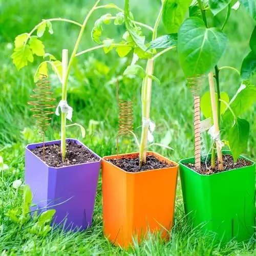 Electroculture – 6 piquets en cuivre pour plantes