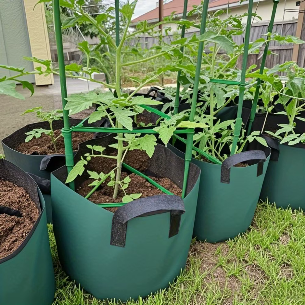 Sacs de culture en feutre vert 3/5/7 gallons pour plantes