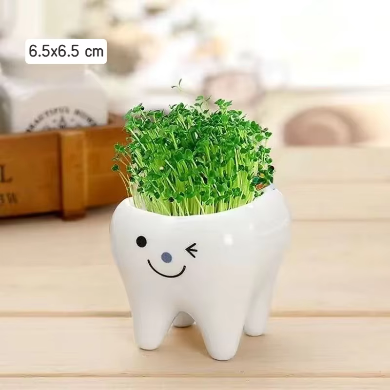 Mini pot de fleurs en céramique en forme de dent