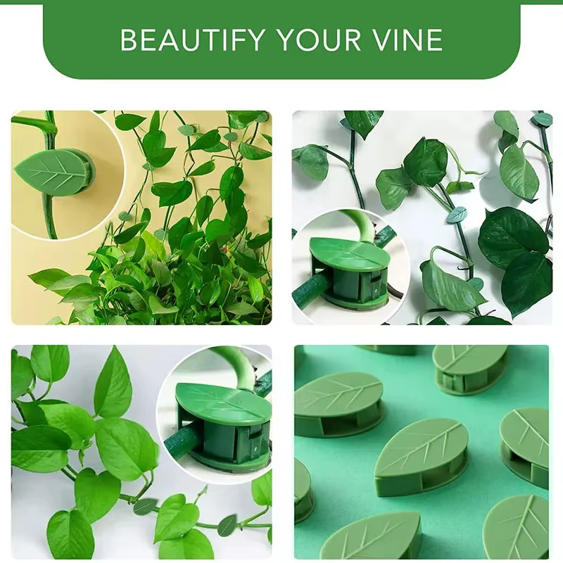 Clips de fixation murale pour plantes grimpantes, autocollant en acrylique, crochet auto-adhésif, support de Traction pour plantes de vigne, décoration intérieure et extérieure