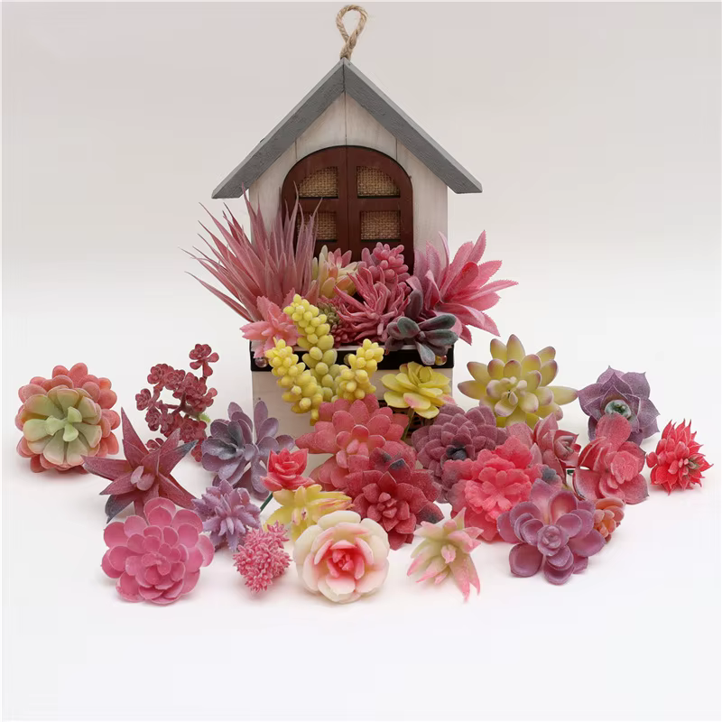 Diverses plantes succulentes artificielles tropicales