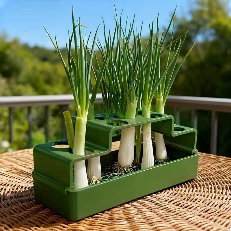 ☌ Un dispositif de plantation spécialement conçu pour les oignons verts, doté d'un système hydroponique permettant une croissance répétée