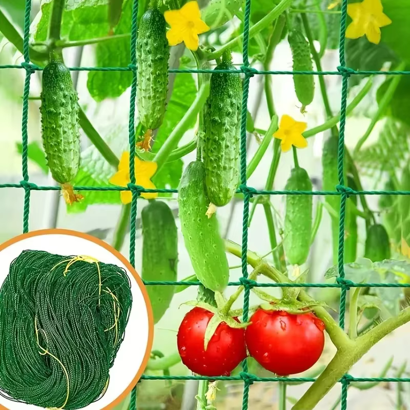 Pergolas à treillis pour plantes
