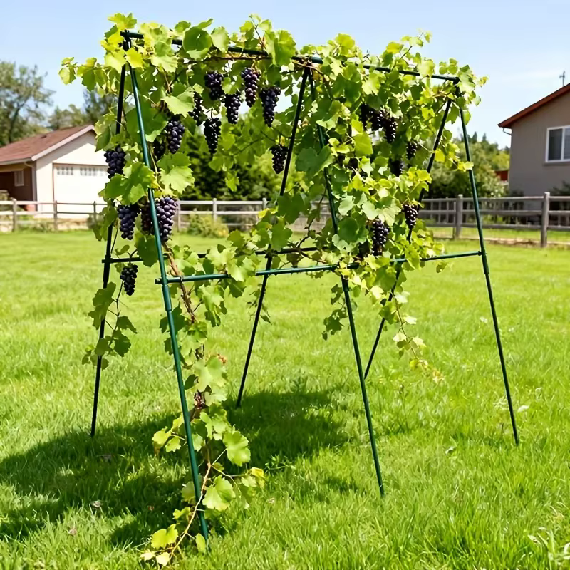 Nouveau treillis de support robuste pour plantes 2026 – 3 traverses horizontales et 6