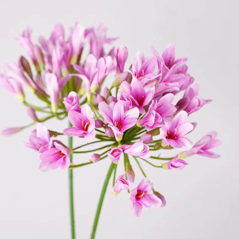 6 pièces de fleurs artificielles en soie Agapanthus