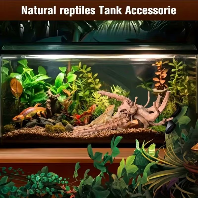 2 pièces de bois flotté décoratif pour aquarium