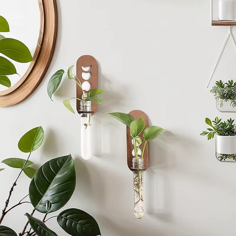 Station de Propagation des plantes