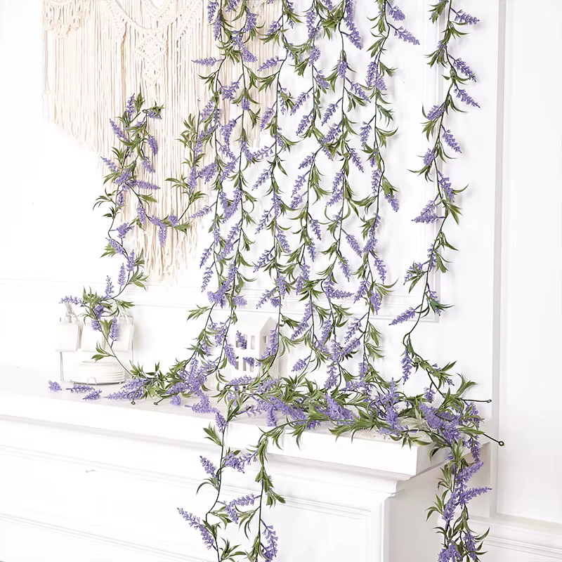 Plante de décoration pour la maison