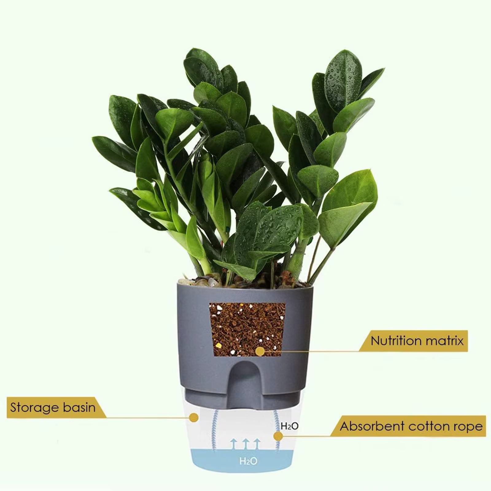 Pot de fleur en plastique Transparent Double couche