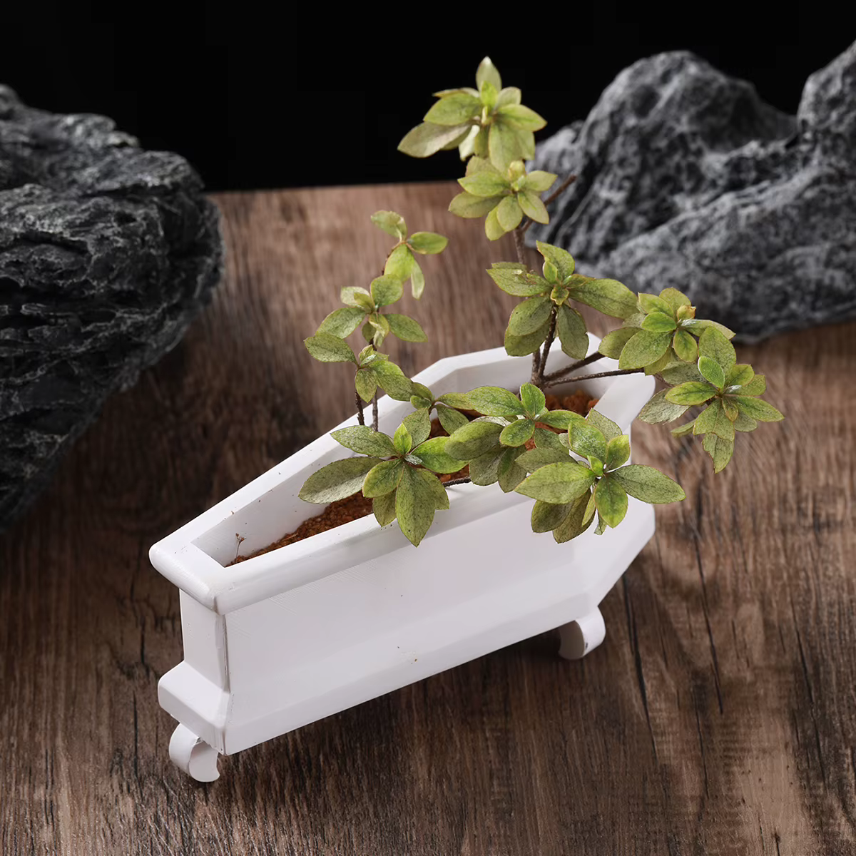 Mini planteur de cercueil