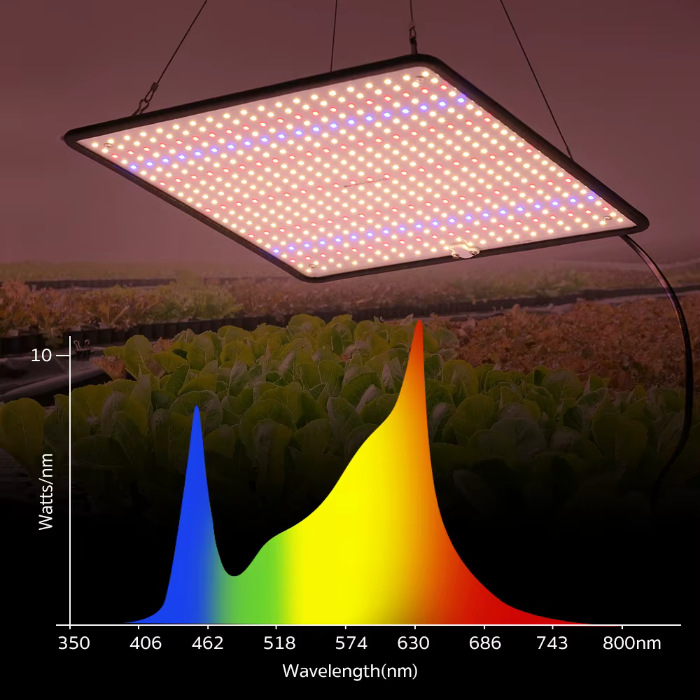 LED élèvent la lumière spectre complet Phyto lampe AC85-240V 40W