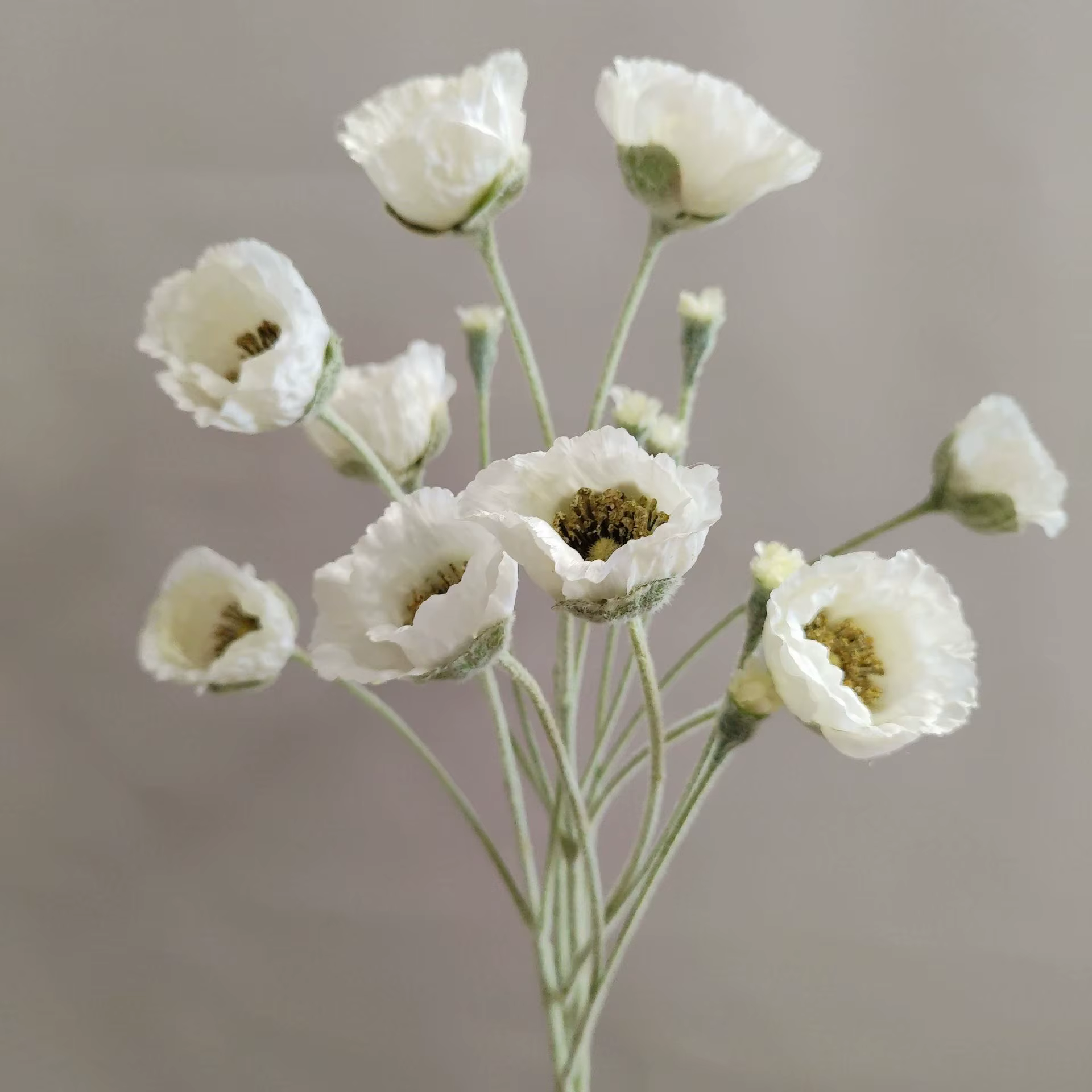 Fleurs artificielles de coquelicot