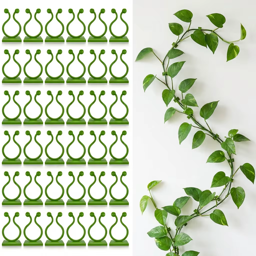 Clips muraux pour plantes grimpantes