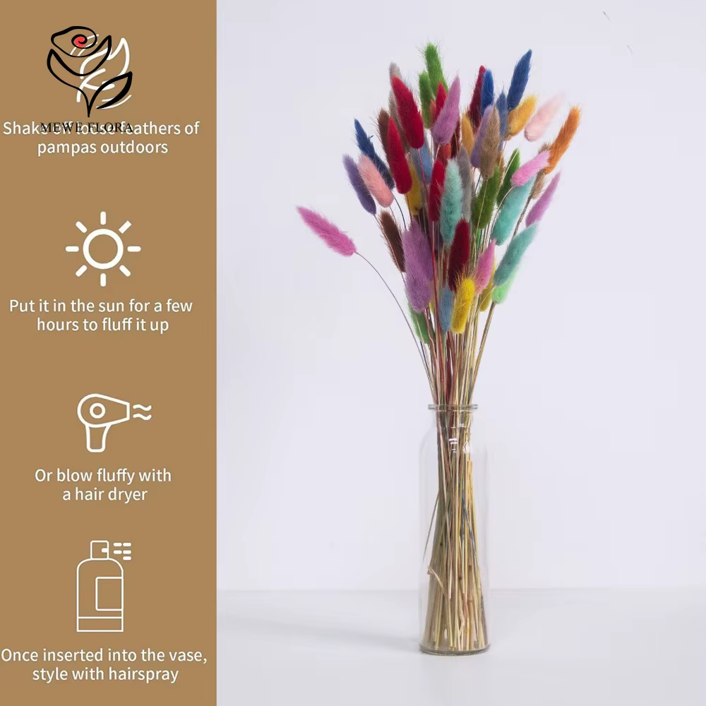 Vraies queues de lapin fleurs séchées mélangées 60 tiges Lagurus Ovatus herbe Pampas Bouquet pour mignon Boho maison mariage décor Photo accessoires
