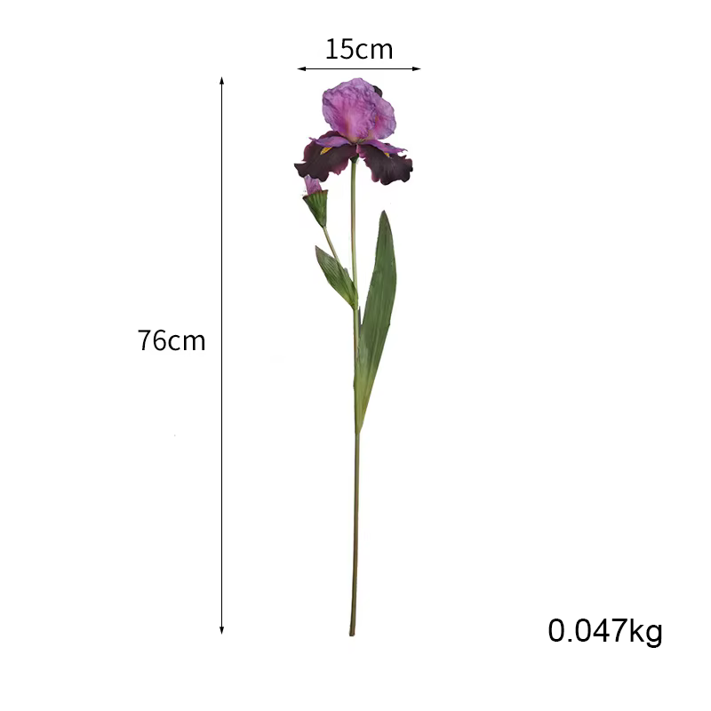 Fleurs injirlandaises Alice Iris