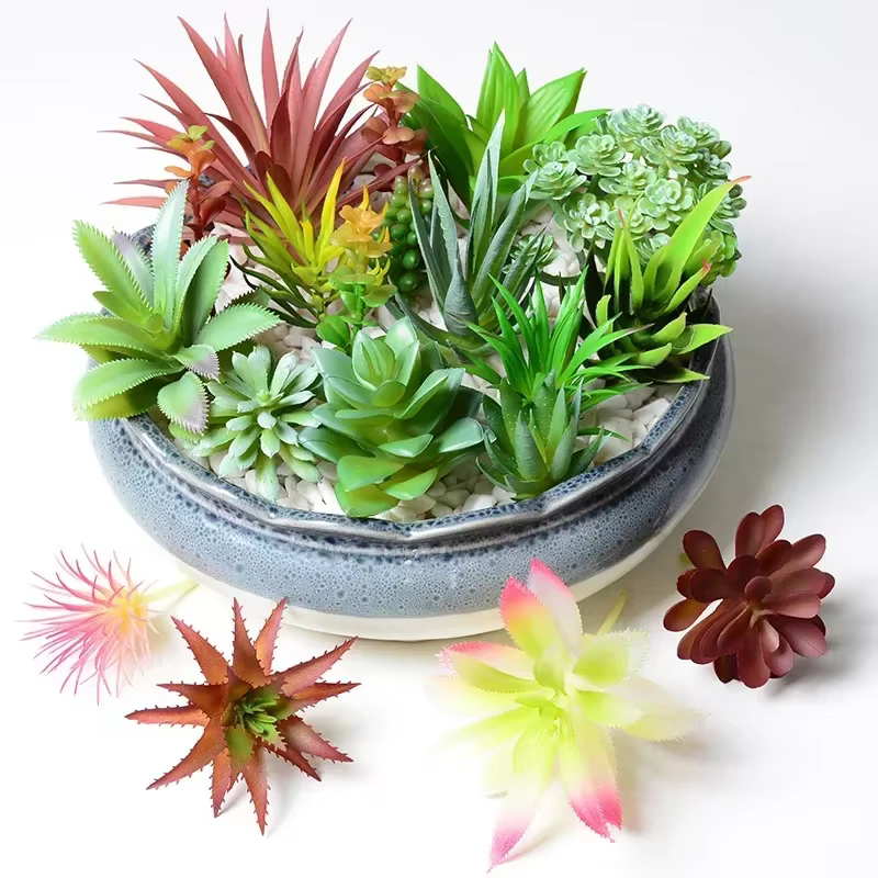 Plantes succulentes en PVC