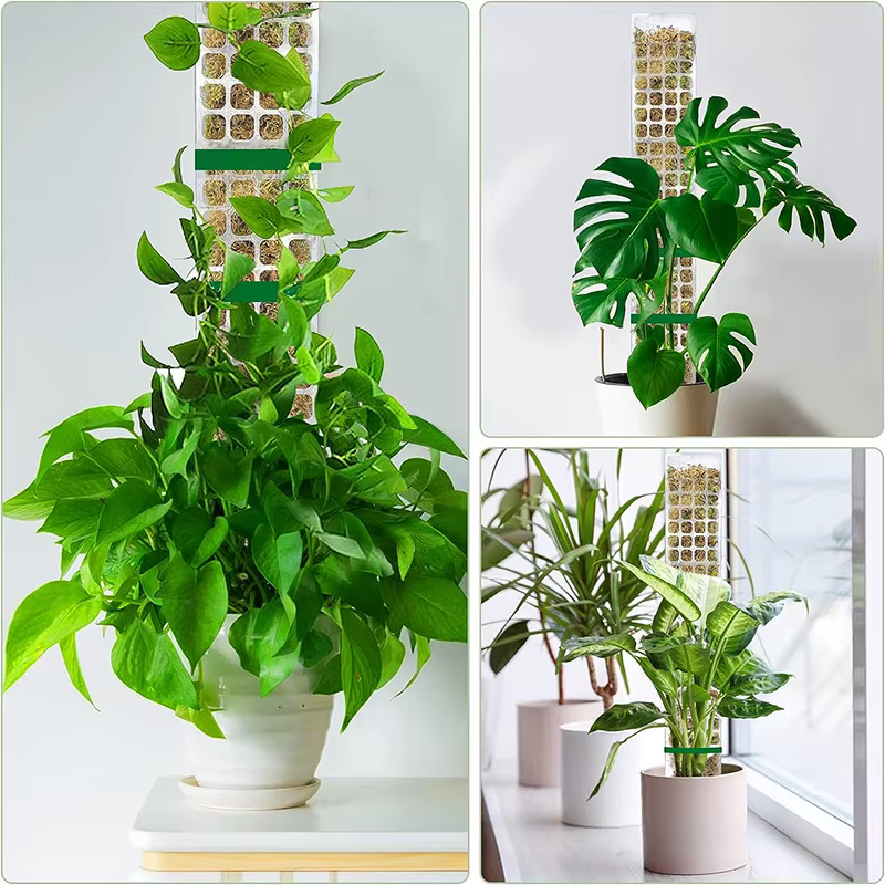 Support de plantes en plastique