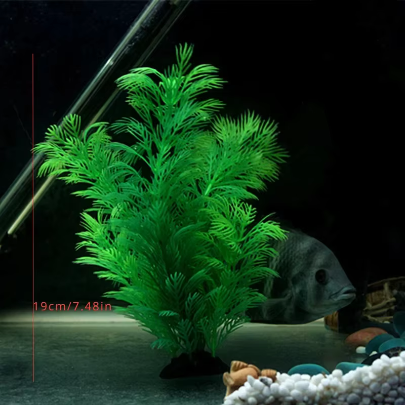 Plante de simulation d'aquarium