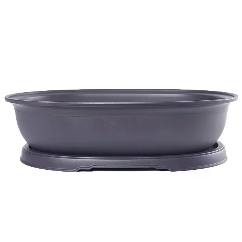 Pots de fleurs en plastique imitation argile violette pour plantes succulentes