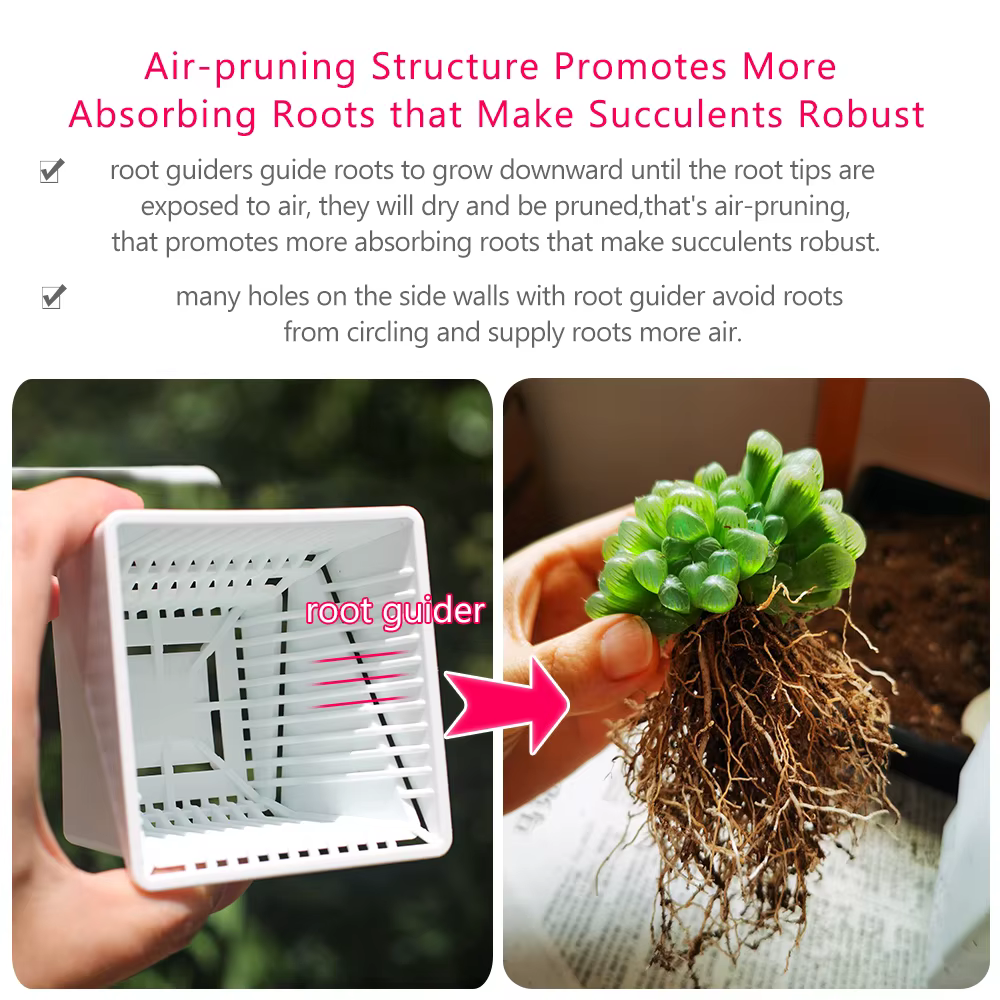 Pots à succulentes respirants avec élagage à l'air