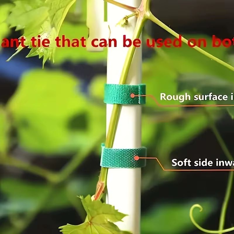 2 attaches pour plantes réutilisables et réglables de 100 cm - Sangle de support verte flexible à fermeture