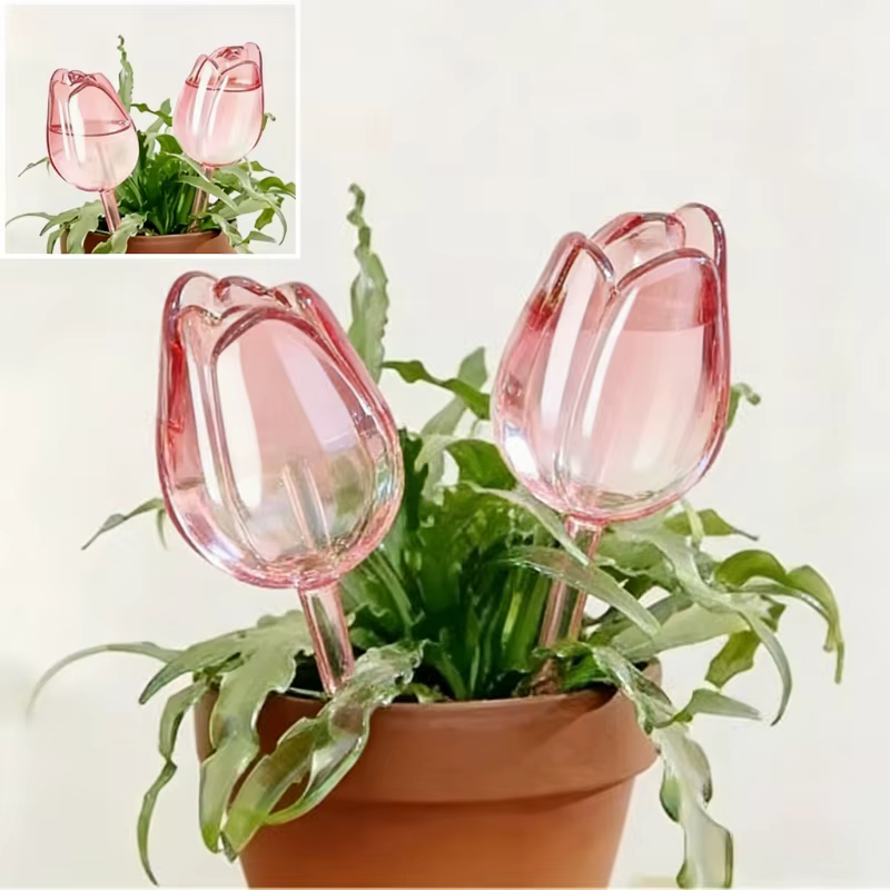 1/4 ampoules d'arrosage automatique pour plantes tulipes