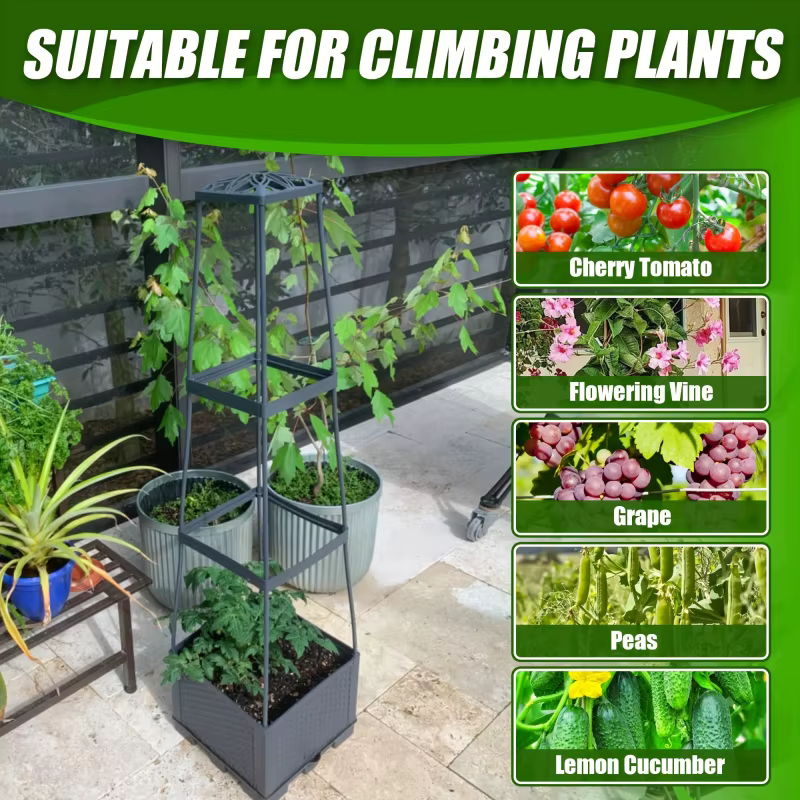 Support de plantes grimpantes trapézoïdal de 44