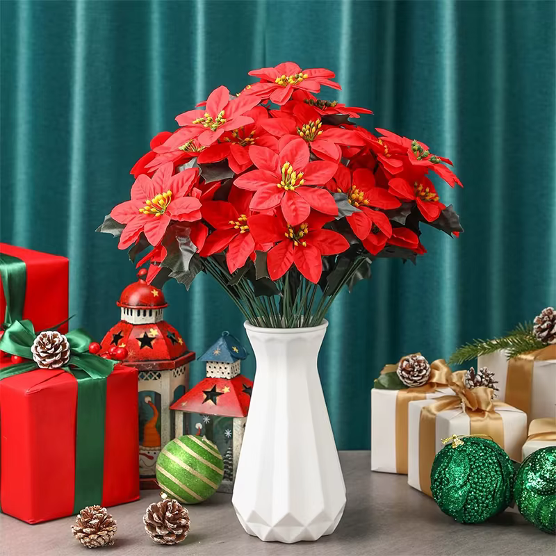 Bouquet de Fleurs Rouges pour Patients de Noël