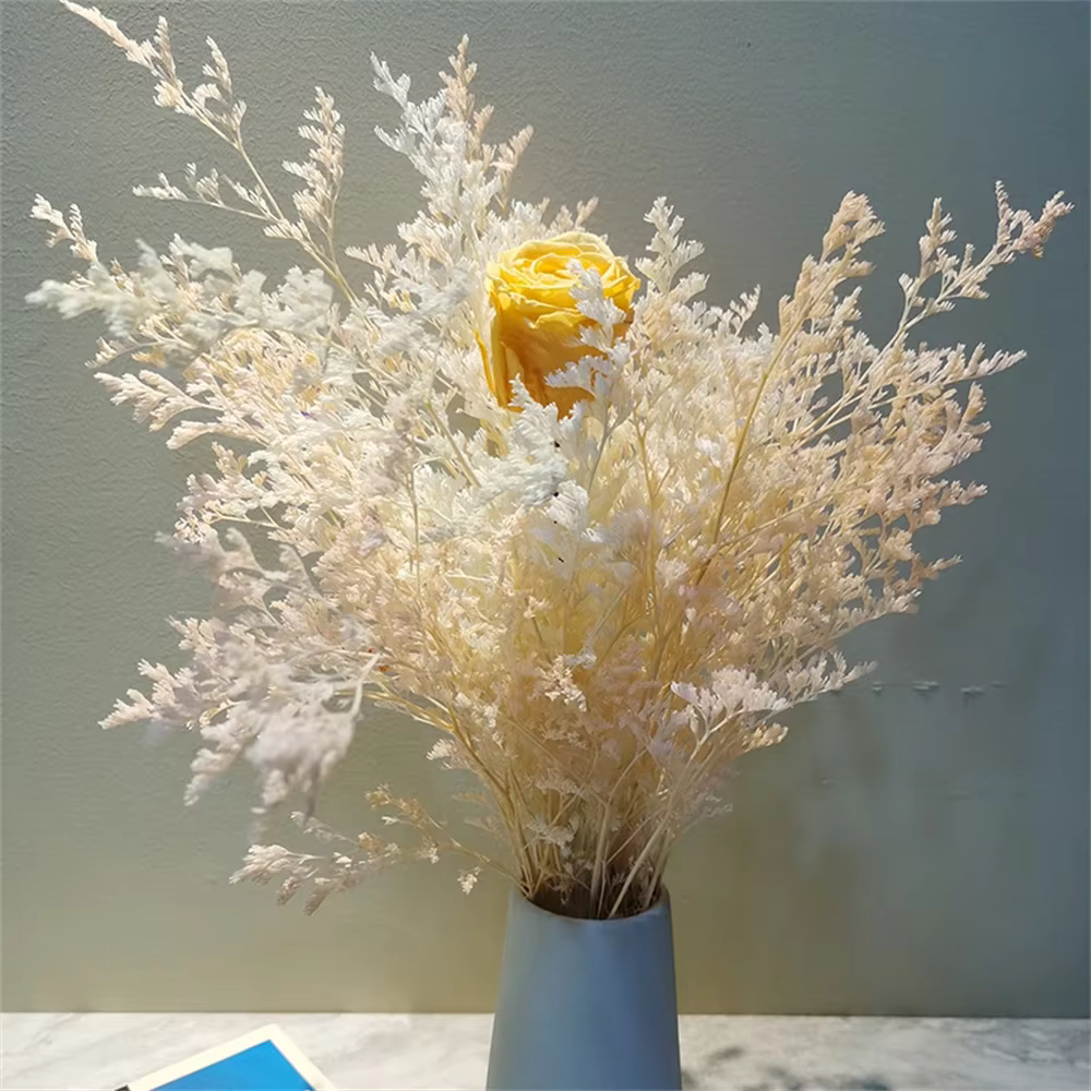 Bouquet de fleurs d'amant séchées naturelles