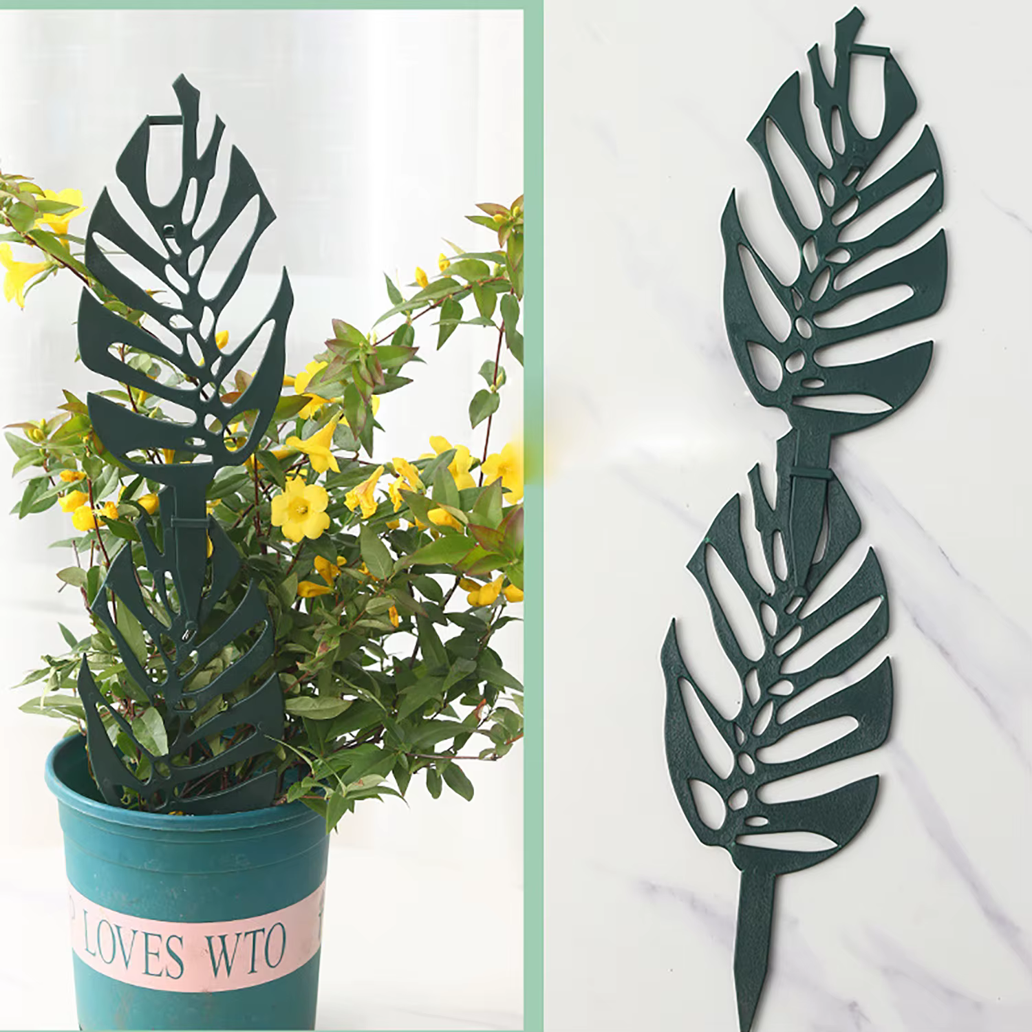 Support d'escalade pour plantes