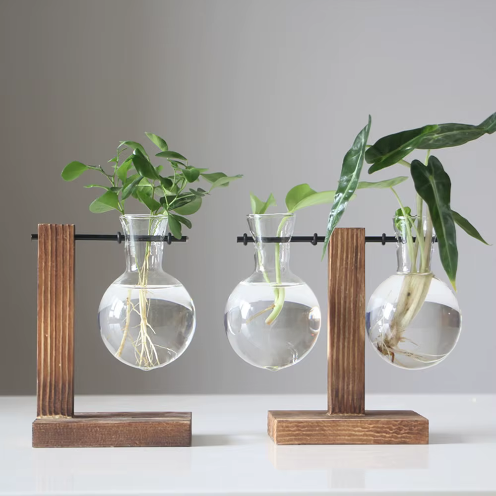 Vase à ampoules de jardinière de bureau en verre créatif