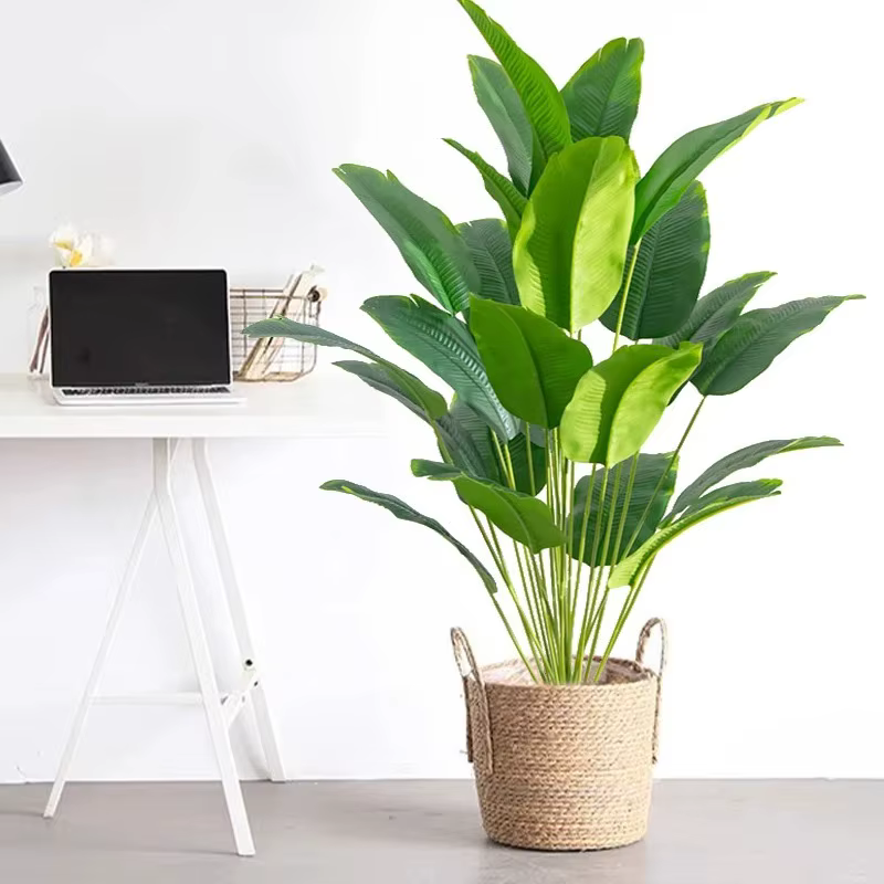 Plantes artificielles sans bassin