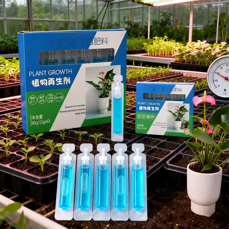 Plante d'intérieur riche en nutriments