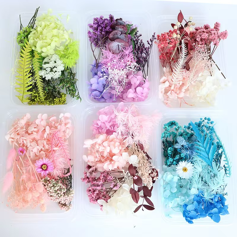 Boîte de fleurs séchées